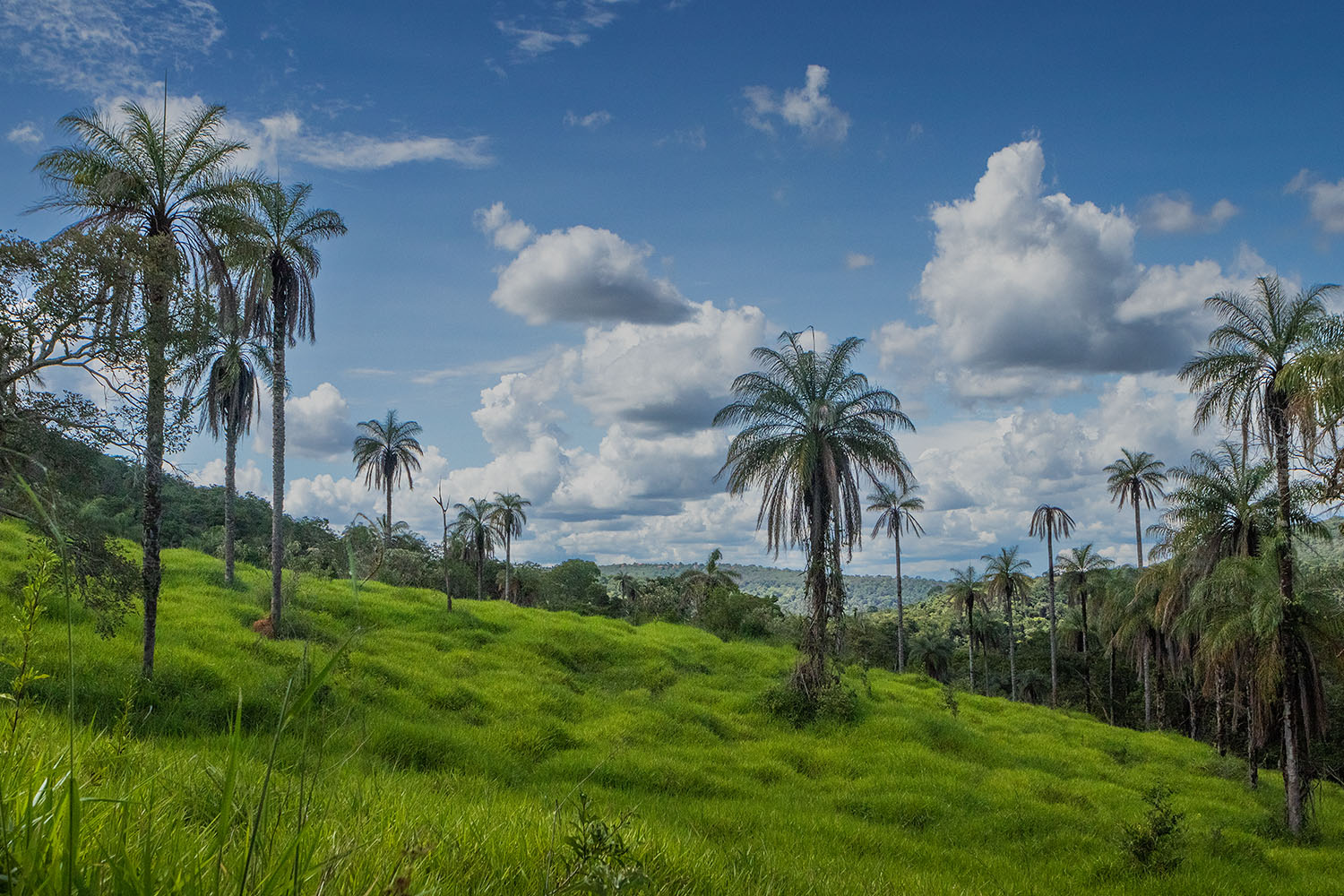 Paisagem da Fazenda Serra Negra na região da Serra do Cipó